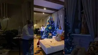 Украшайте вместе с нами #рождественскаяЕлка #2025 #shielapiet #kerstboom