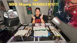 So many alcohol markers!!! Will they fit in this bag?