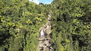 Infinity Pool Hike | El Yunque National Forest, Naguabo, Puerto Rico