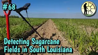 IDH Epsiode 68: Detecting Sugarcane Fields in South Louisiana