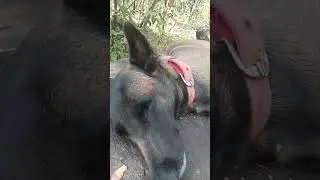 👉
