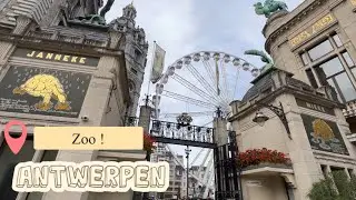 4K•Zoo in Antwerpen! Cool ! 🌳🪵🦁🦓🦏🦒🐘🐐🦫🐾🪷🇧🇪🌷Europe trip