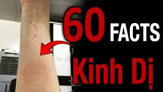 T&ocirc;i Kể 60 Sự Thật Kinh Dị Gi&uacute;p Bạn Dễ Ngủ Hơn