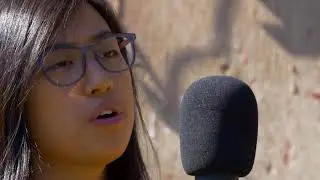 Amplify: Them Damn Hamiltons 