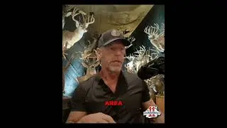 Deer Baiting Secrets: How to Hunt Like a Pro & Get Big Bucks #shorts