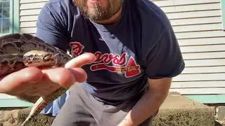 Episode 20: You finally started breeding, now what?!?