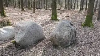 Grote stenen in het Bos