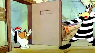 Droopy - El Lobo Prisionero (Escena) Espa&ntilde;ol Latino