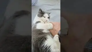 Весеннее целебное расчесывание - Чжанго