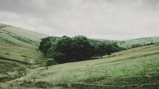 Sad Minuet - Sir Cubworth | Calm Classical Music