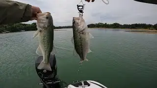 Douglas Lake Bass Fishing Tournament May 10th, and a Giveaway!!