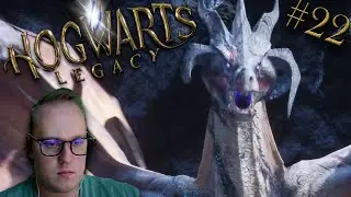 Hogwarts Legacy #22 - ПОМОЩЬ ДРАКОНУ