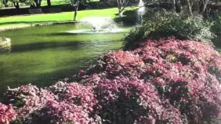 40 minute ambient deep meditation music