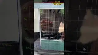 SFRA - Sweep Frequency Response MBA