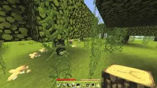 CapnJames Plays Minecraft | Episode 6
