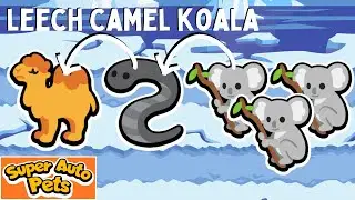 LEECH CAMEL KOALA SYNERGY | [Super Auto Pets]