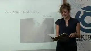 Zelk Zoltán: Köd és fény