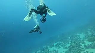 Scooter Diving Makadi Bay 03.01.2026