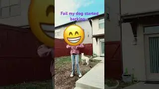 She started barking 😂 #lol #haha #dog #dancefails #oof #barking #bruh