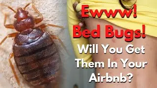 Bed Bugs! Will You Get Them In Your Airbnbs? | The STRR Podcast #43 | Tim Hubbard