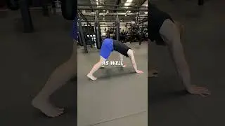 Start Movement Training: 3 Animal Walks to Master!