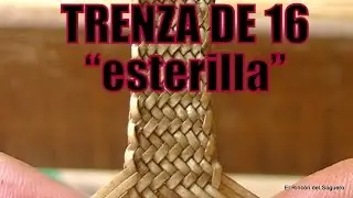 Trenza de 16 