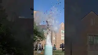 Trashcano