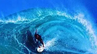TOP 5 THINGS to do at  Sebastian Inlet State Park