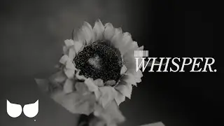 Rafor - WHISPER. (Official Music Video)