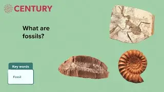 Fossil Evidence | Biology