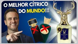 AQUA DE DORA -PANA DORA | MELHOR CÍTRICO do MUNDO | SERÁ um KILLER do TYGAR e SOSPIRO VIBRATO?