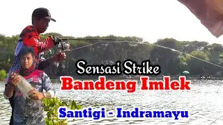 SENSASI TARIKAN BANDENG BABON BIKIN KETAGIHAN | MANCING DI SANTIGI INDRAMAYU