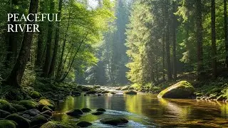 Gentle River Ambience for Insomnia Relief and Peaceful Restful Deep Sleep | 24/7