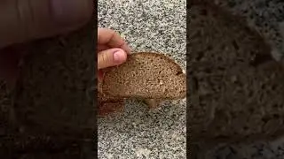 Rudzu maize. Латвийский ржаной заварной хлеб с тмином /Latvian Rye Bread / Lettisches Roggenbrot