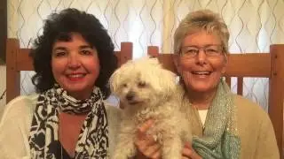How to Show Your Home With Pets - VOV #4