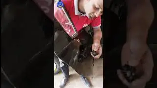 Maruti Swift VDI outer door handle replace#automechanic #shortsfeed#shorts#viral#shortsfeed#short