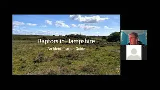 Raptors in Hampshire