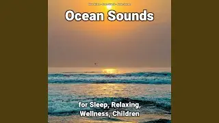 Clear Sea Noises