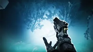 The BEST Weekend Ever For Trials | Destiny 2
