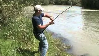 Waller gewinnt den Drill.... Jan Gutjahr, fanatic-fishing