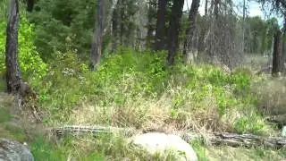 beartrap river