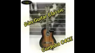 Đ&agrave;n Guitar Classic Cordoba C4-CE Edge Burst Finish