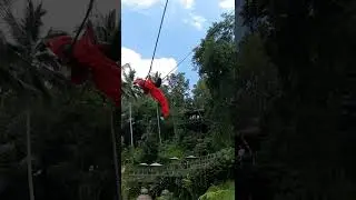 Are you sure, you want not to try this thing. Swing near by Ubud Bali