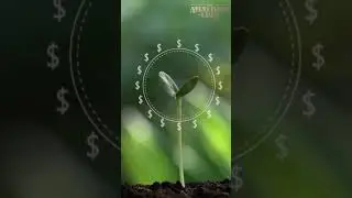 Earn passive income from staking your NFT