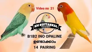 How to produce cremino opaline from difrent 14 pairing