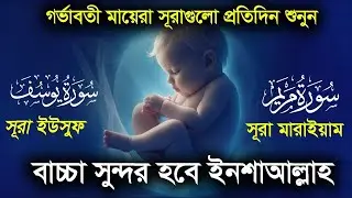 সূরা মারইয়াম ও সূরা ইউসূফ । র্গভাবস্থায় বেশি বেশি শুনুন ।surah marayam surah yousuf Alaa Aqel
