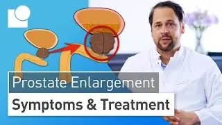 Prostate Enlargement: This Helps with the Urge to Urinate & Weak Urine Flow | Symptoms & Treatment
