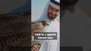 Explorer : UAE