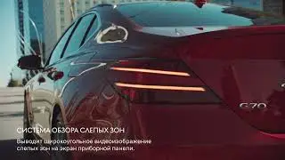 Система обзора слепых зон GENESIS G70