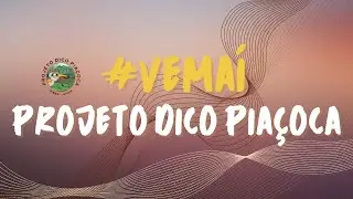 Divulga&ccedil;&atilde;o Projeto Dico Pia&ccedil;oca - Professores